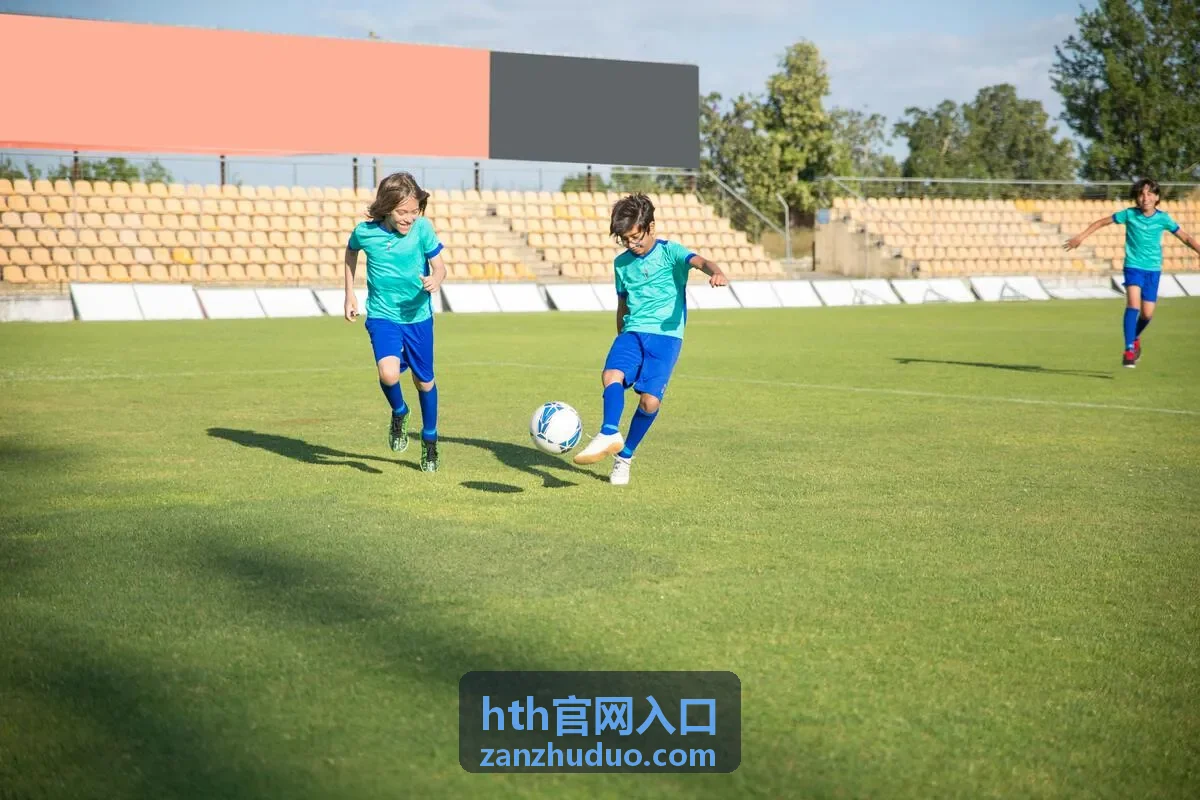 hth官网入口访问场景示意图